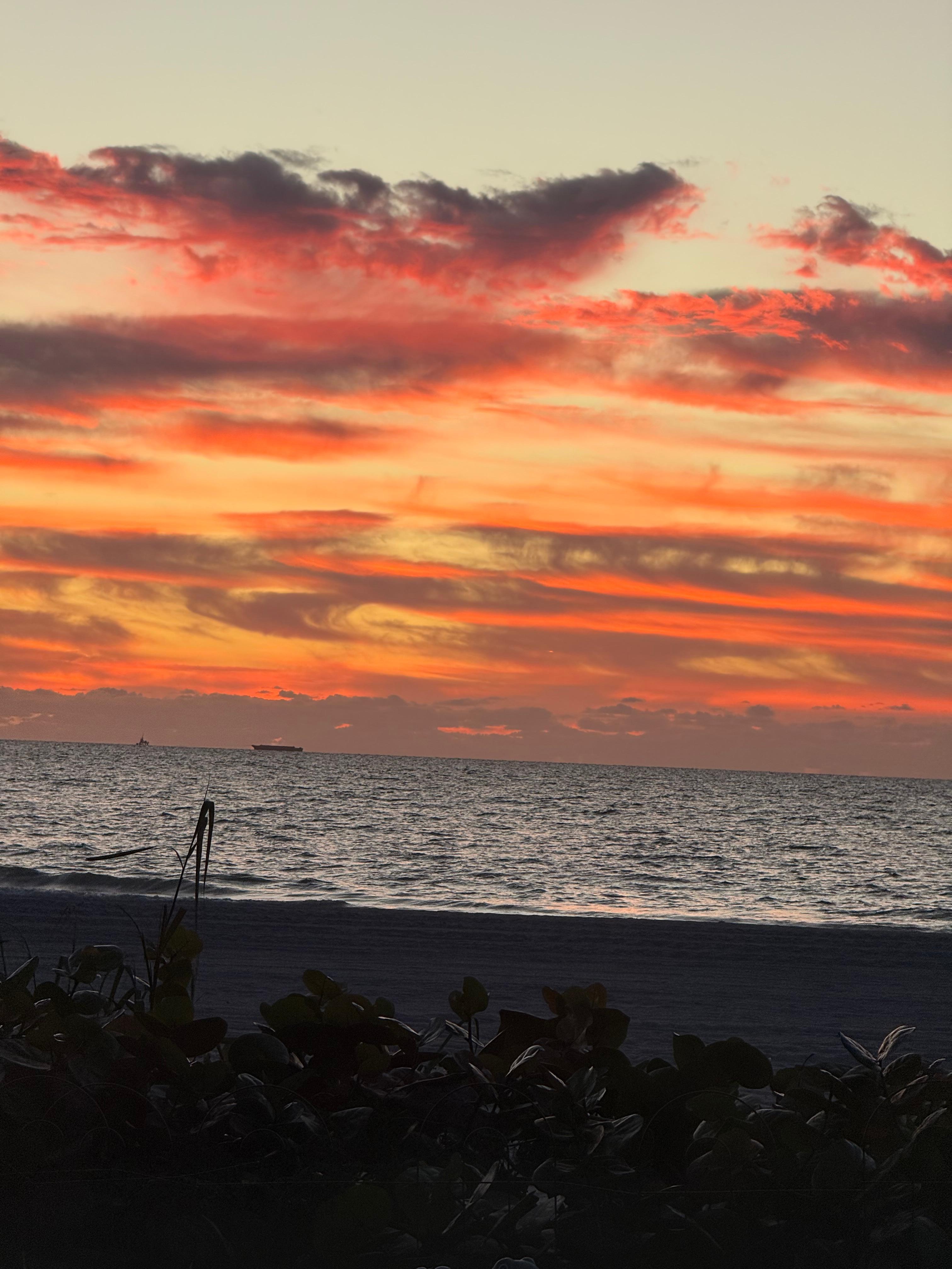 Sunset picture taken from patio that’s OK thank you. Appreciate it. Thank you.