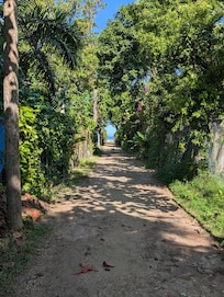 Lane/ access pathway to the hotel from the Street. Across from Bamboo Walk.