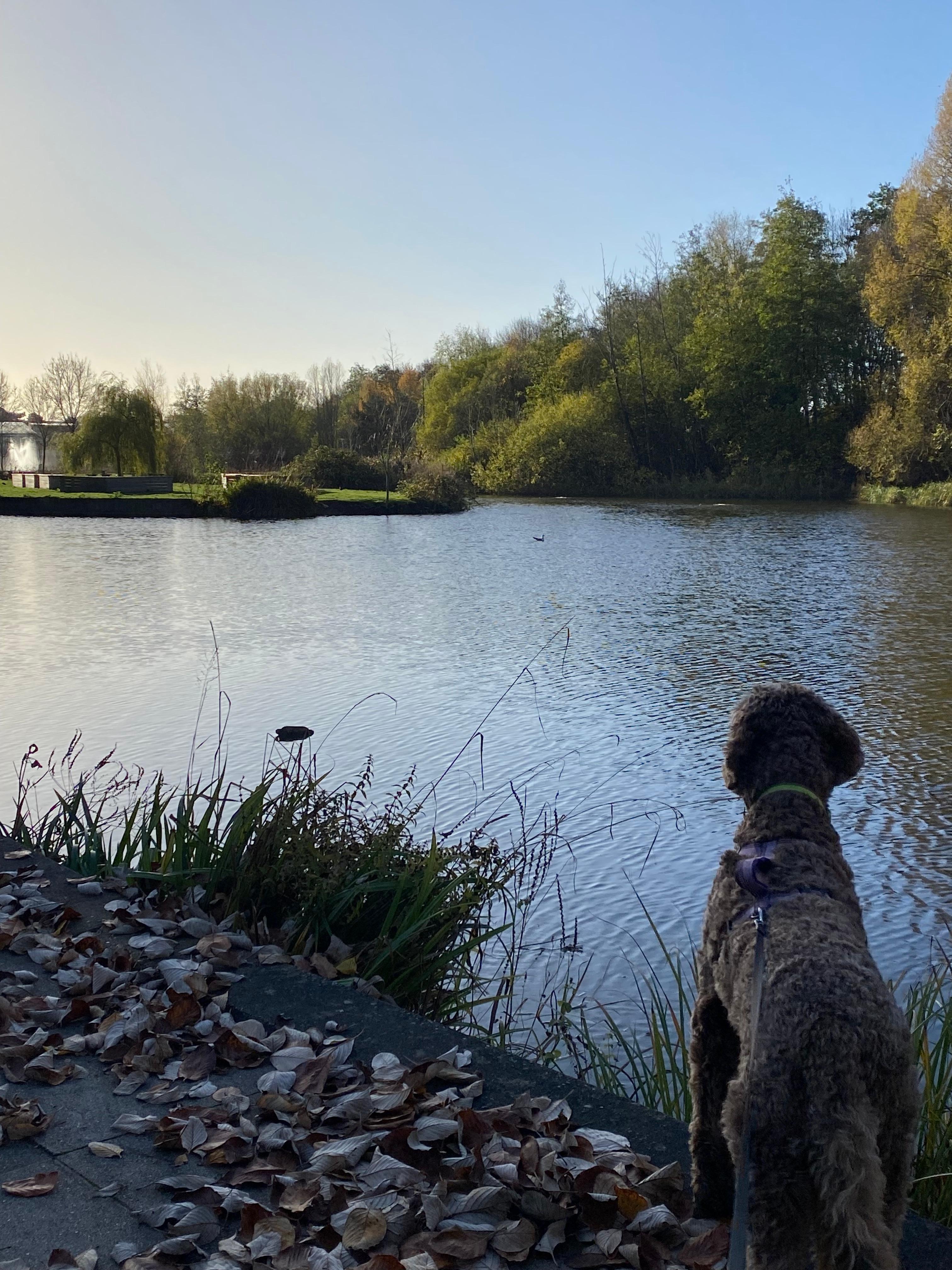 Round the Uni that’s on the same site 