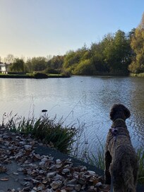 Round the Uni that’s on the same site