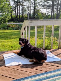 Chillin' on the deck!