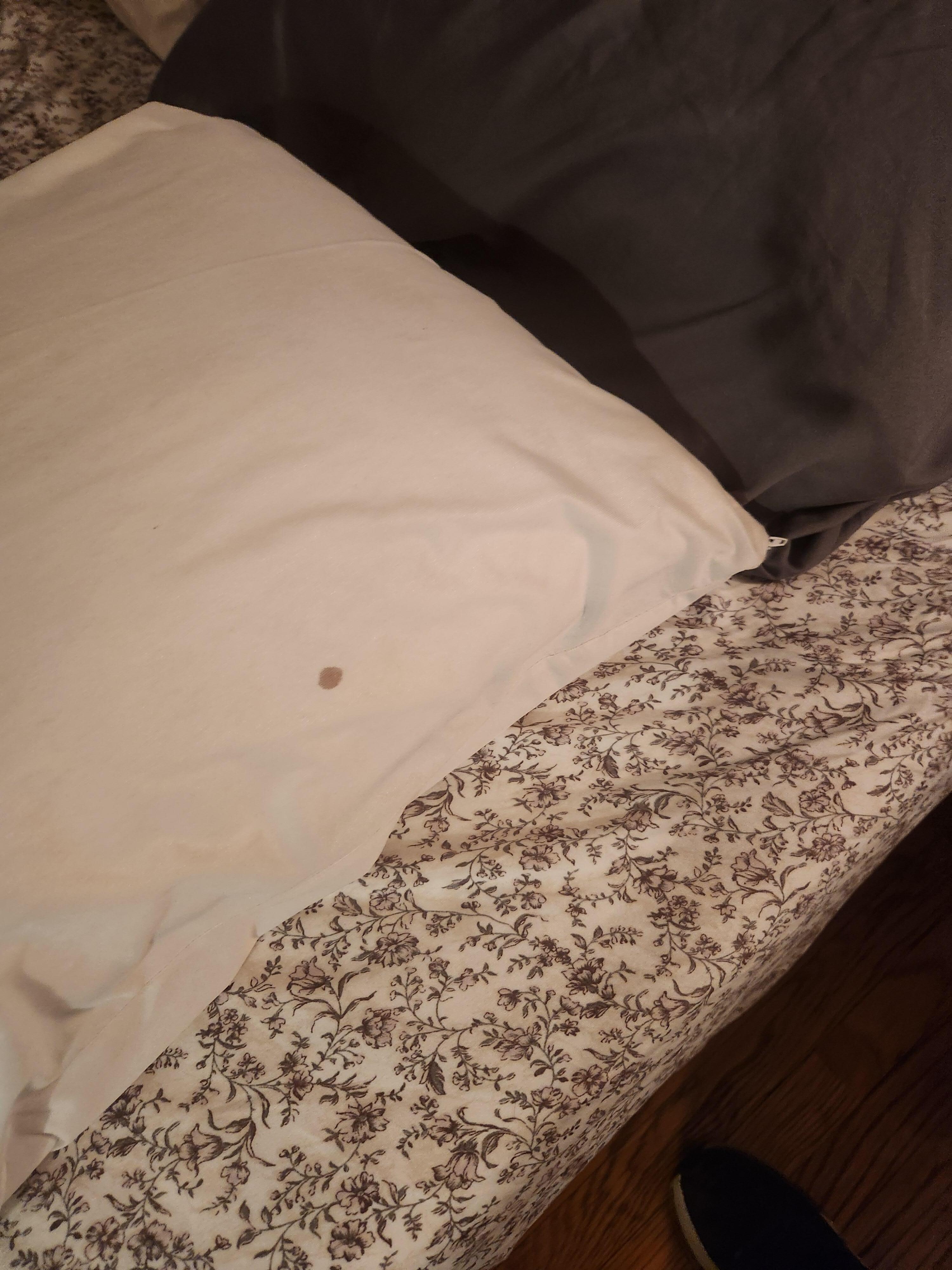 We think it was a blood stain on the pillow