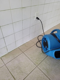 Mold and algae on walls and floor