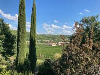 The view from our room!