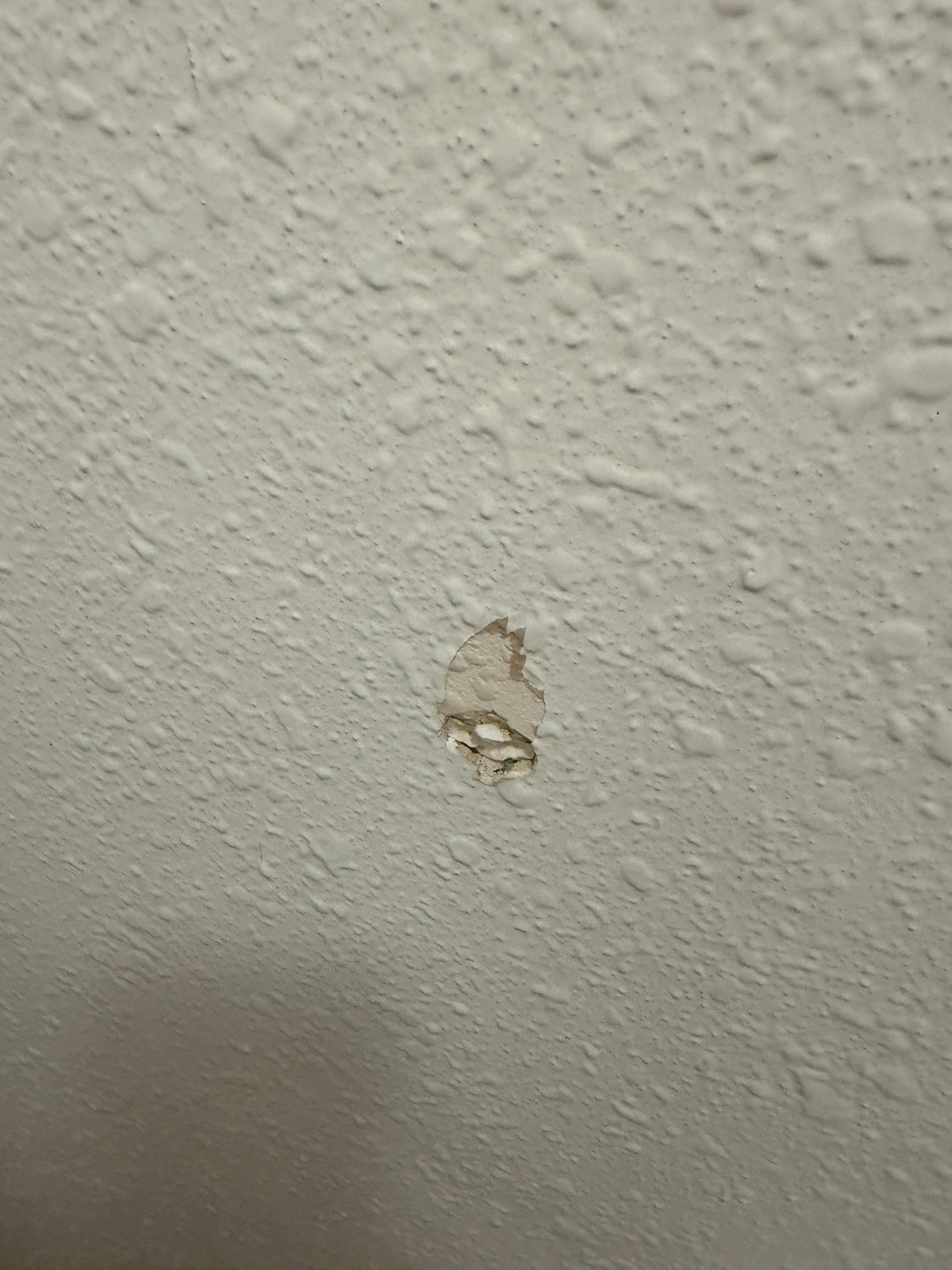 Hole in the bathroom wall