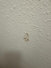 Hole in the bathroom wall
