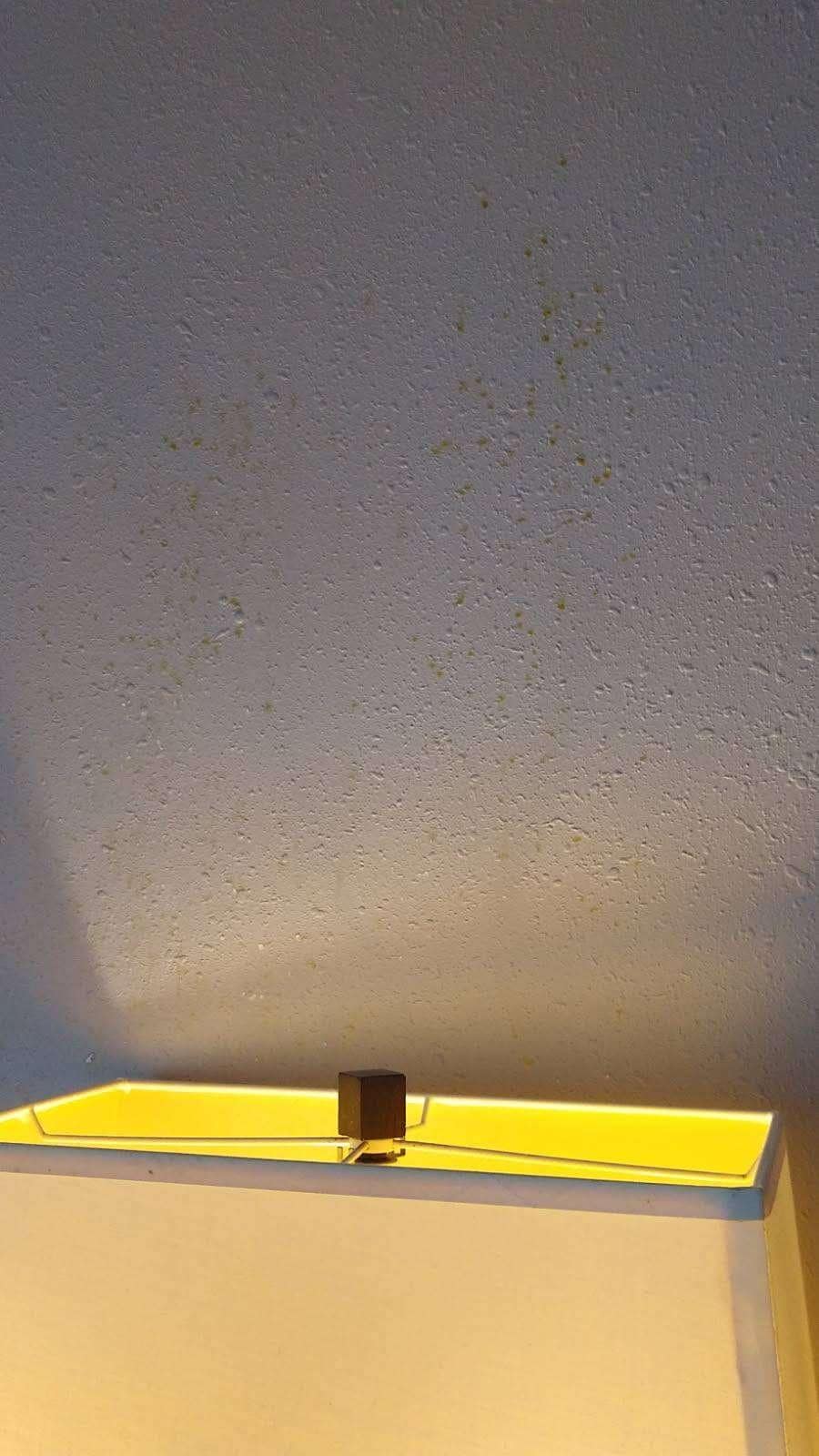 Dripping from above the light  between the two beds