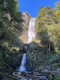 Waterfall in the area