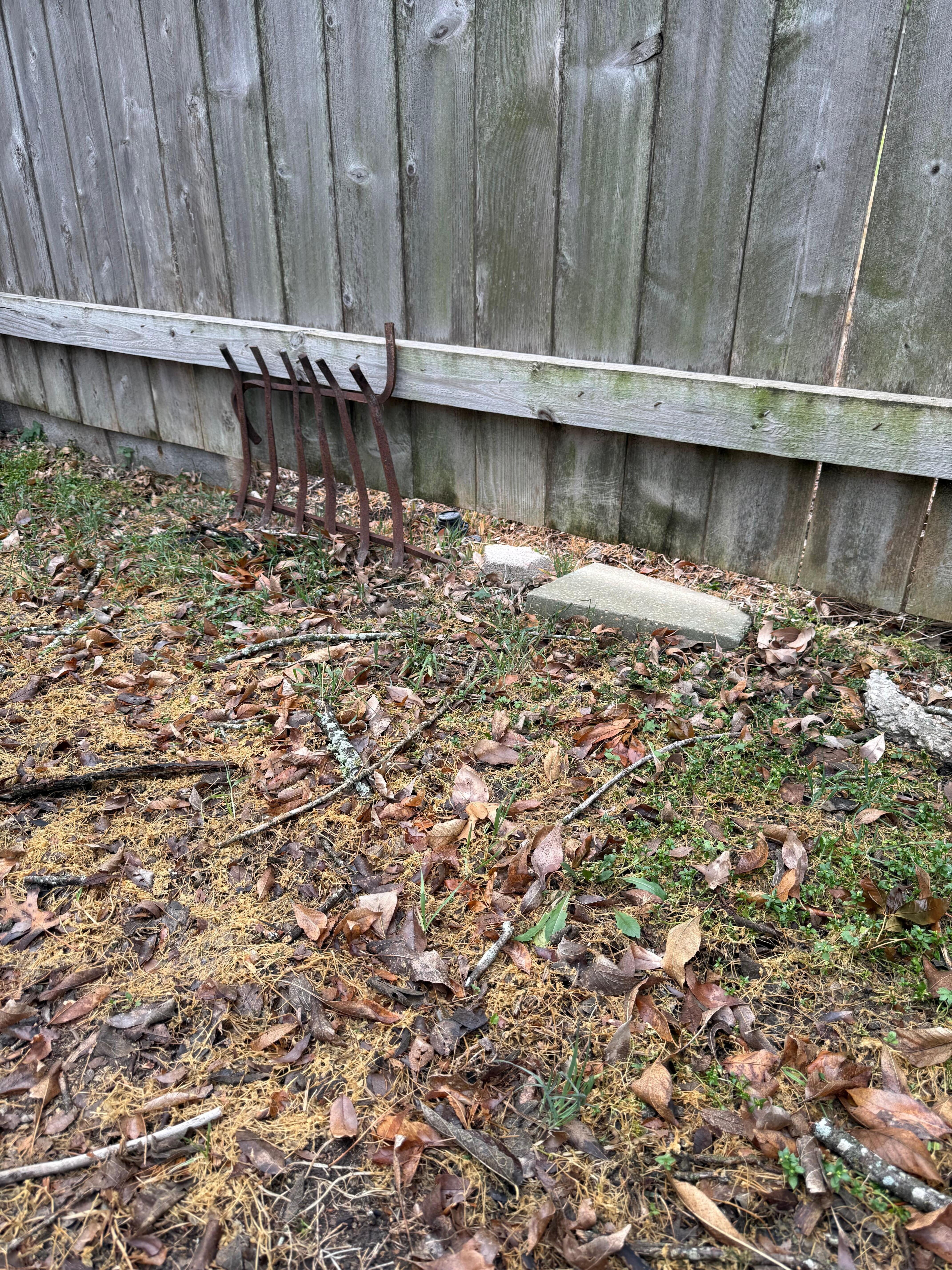 Gaping holes in the fence 