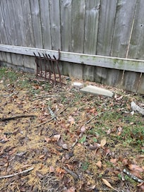 Gaping holes in the fence