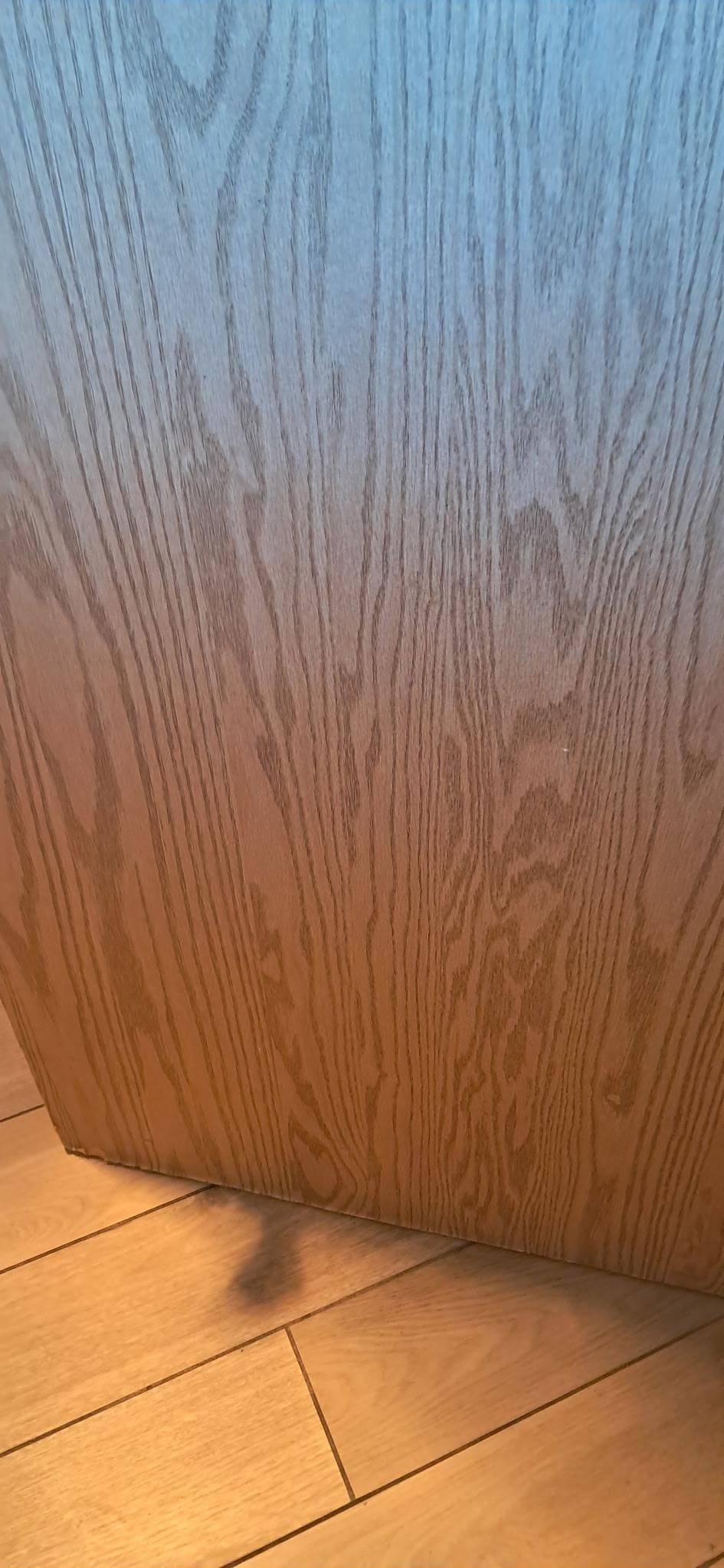 Water damage to bathroom door