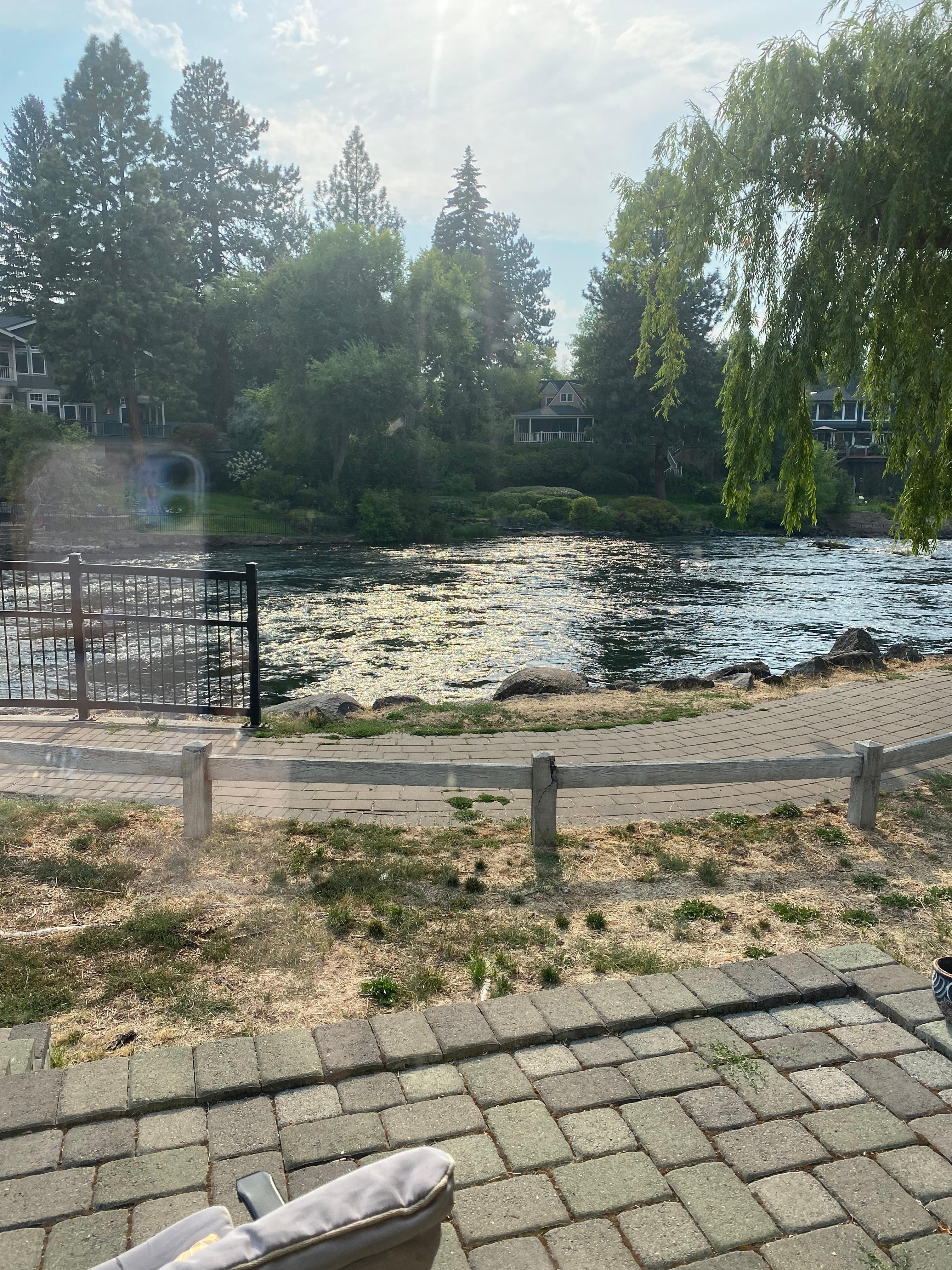 View from the patio.