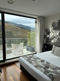 Beautiful room and view of the vineyards!