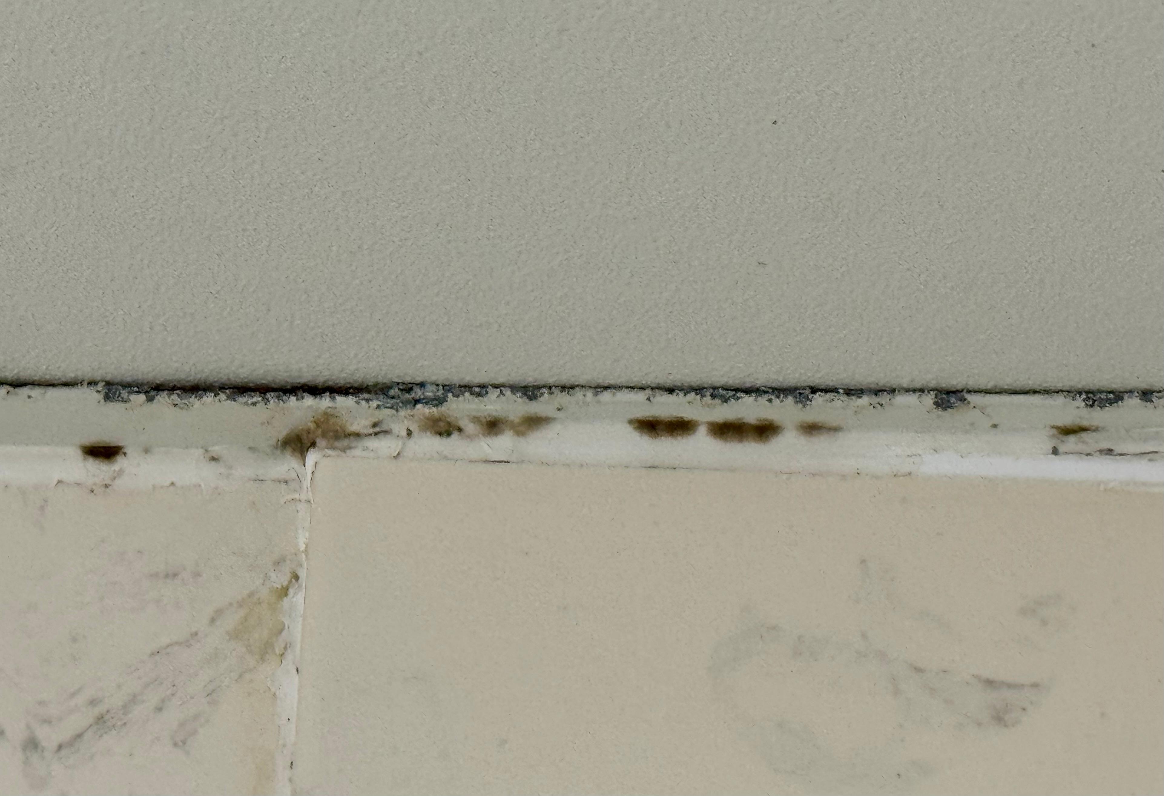 And more mildew