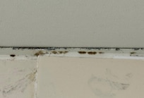 And more mildew