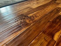 Dead bugs all over the place , this is just an area