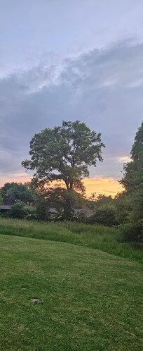 Vue du jardin