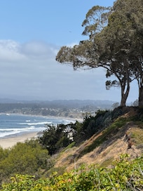 A photo from a walk on the property.