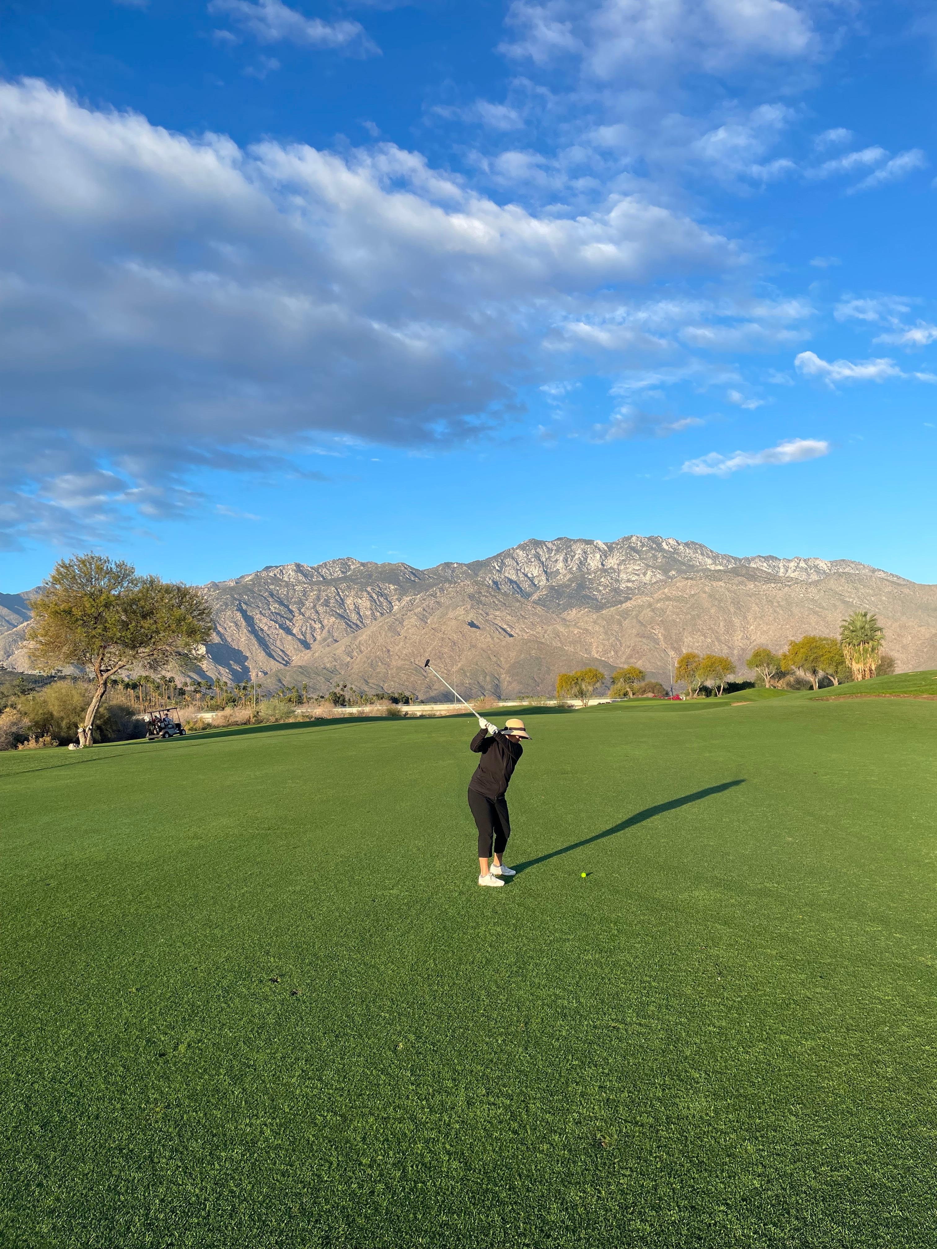 The snow disappeared quickly!  We had unseasonably warm weather