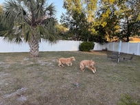 Fenced yard for the dogs to run around!