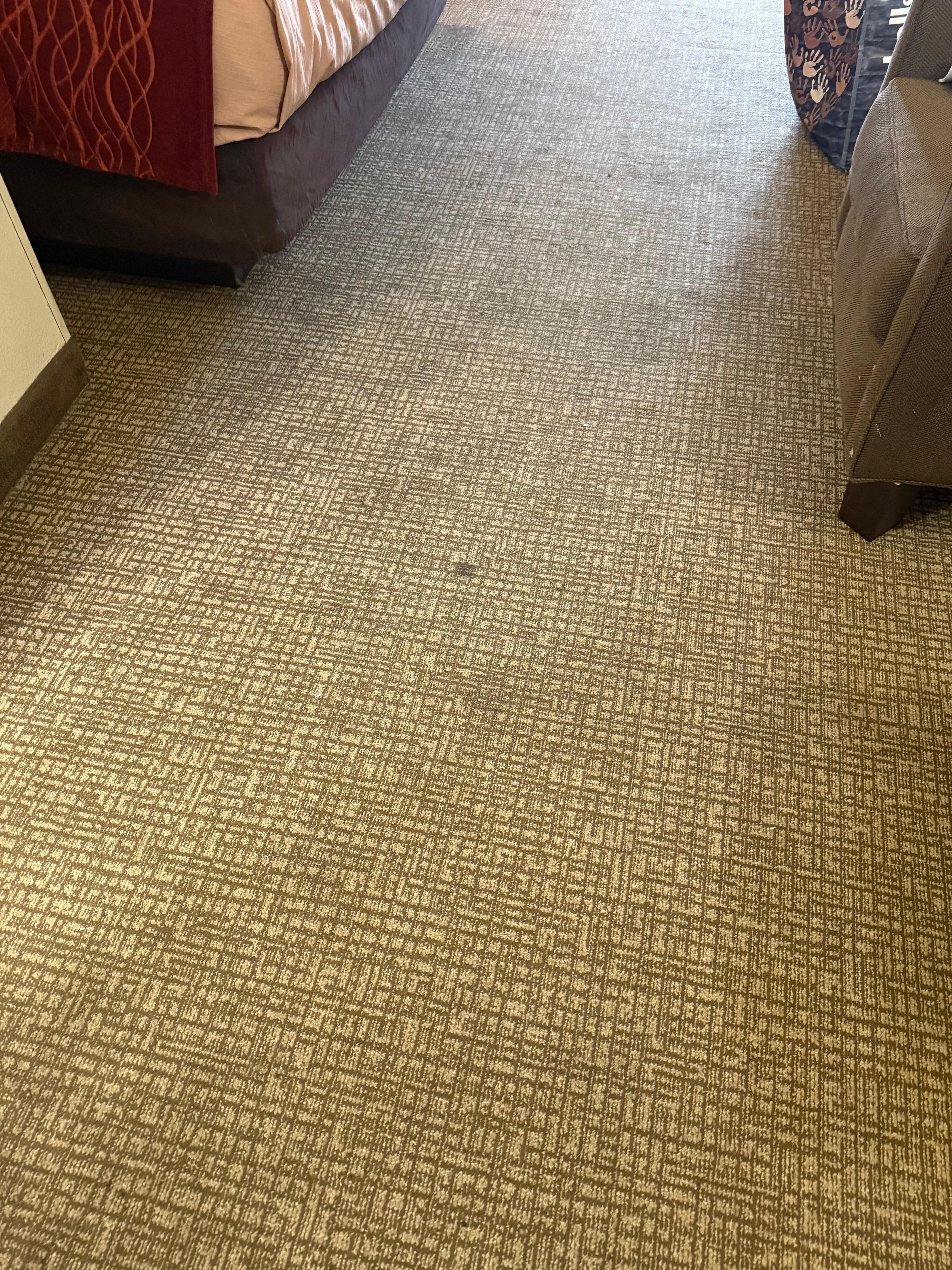 Carpet in room