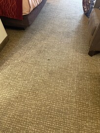 Carpet in room