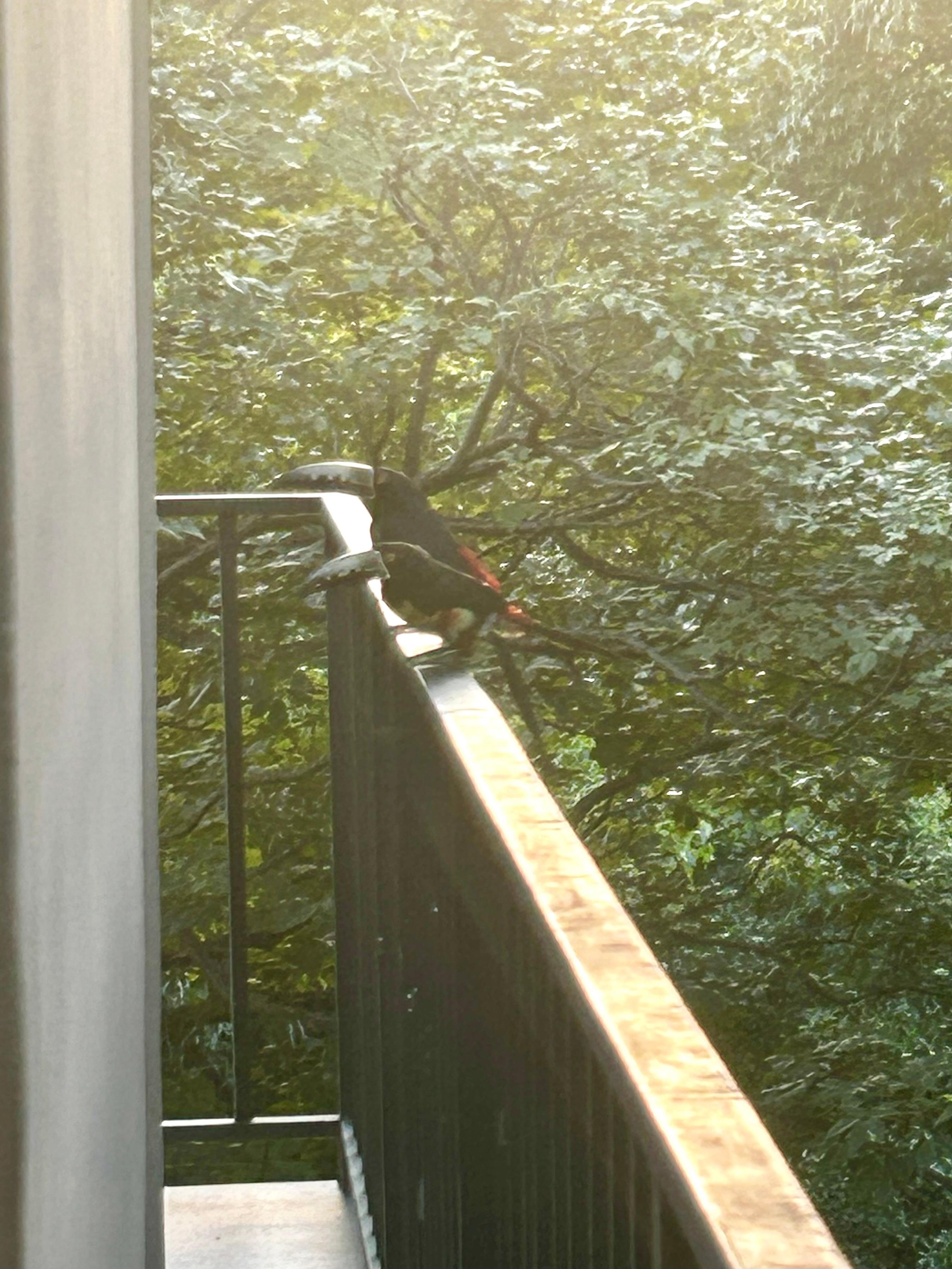 Quand je revenais en fin de journée 