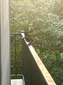 Quand je revenais en fin de journée