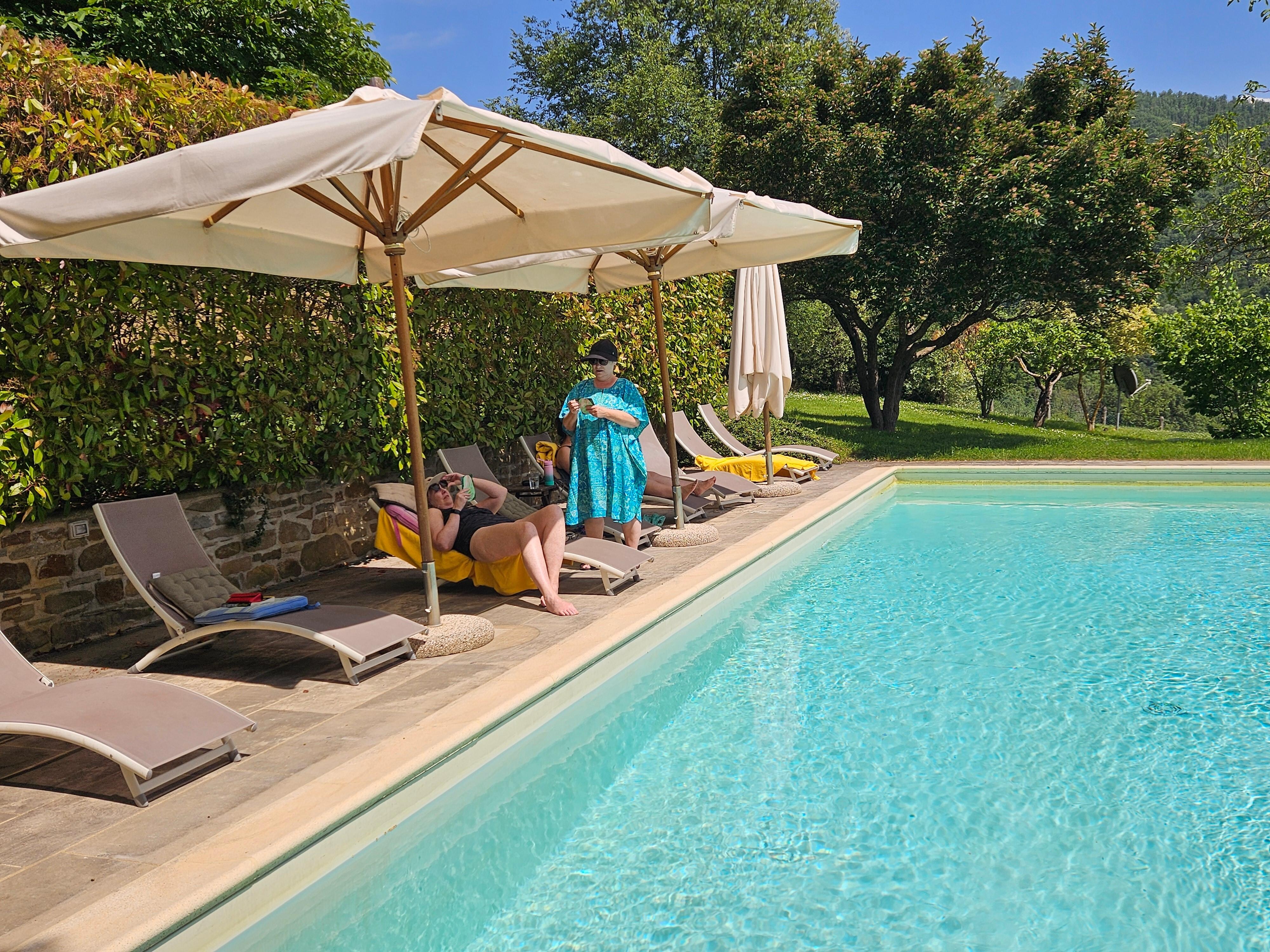Beautiful pool, well equipped
