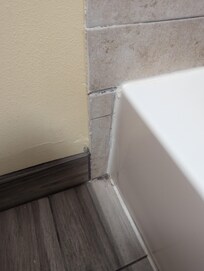Black mold outside shower where water leaked while running water