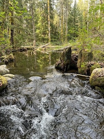Top bridge trail