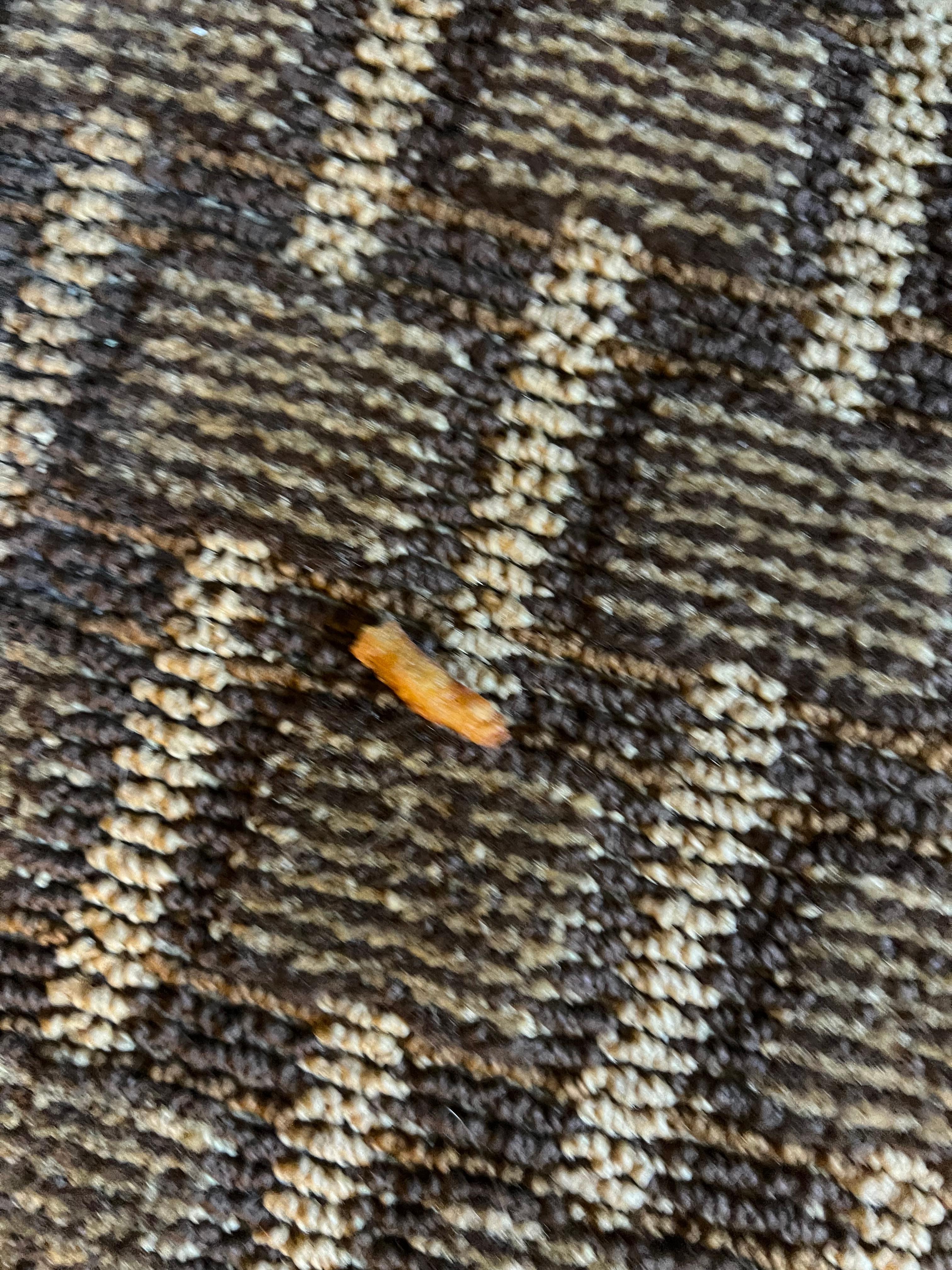 French fry on the floor 