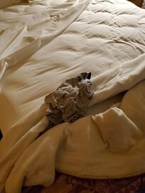 Mens underwear found in bed