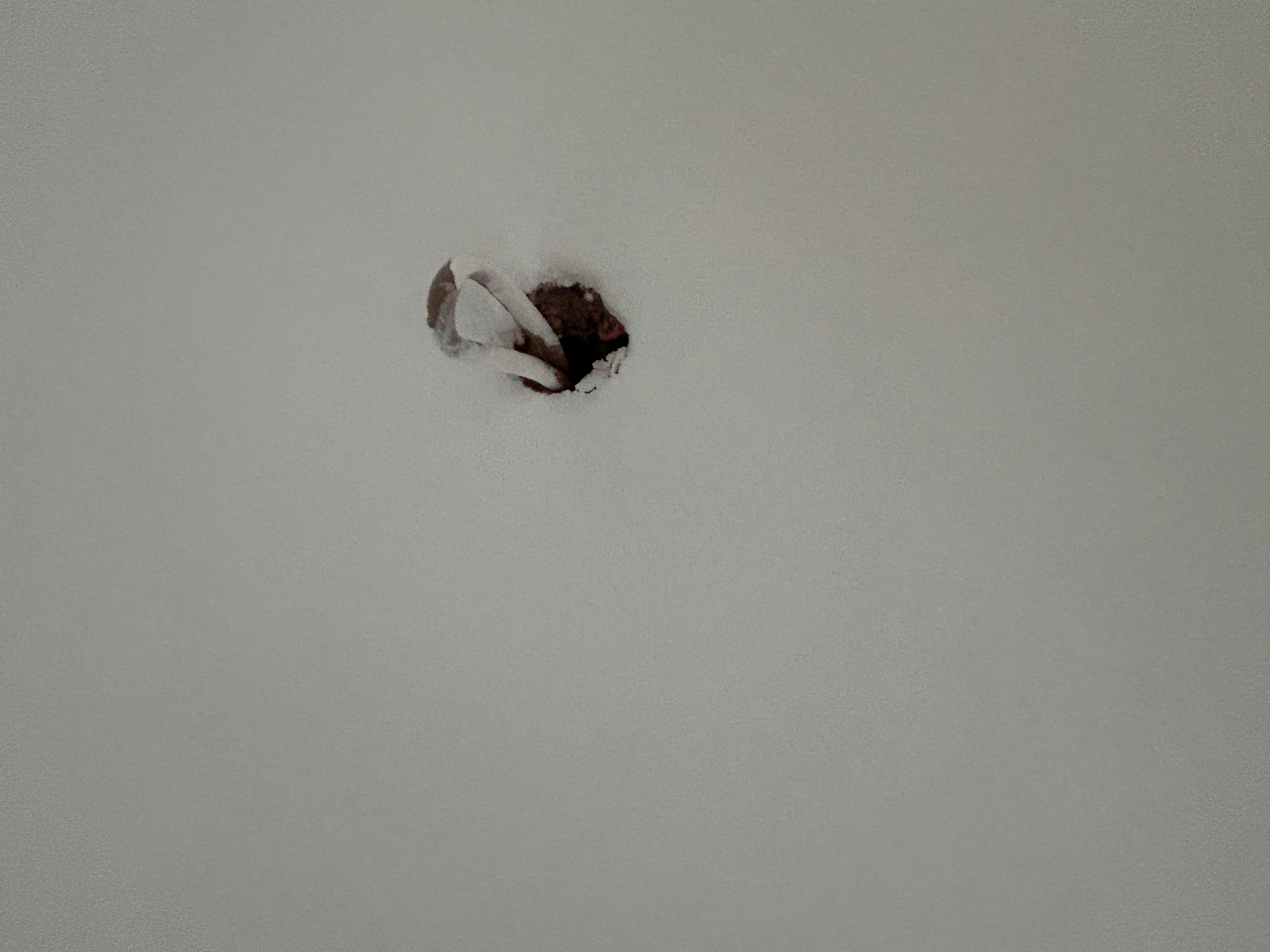 Random holes with electrical coming though. 