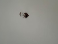 Random holes with electrical coming though.