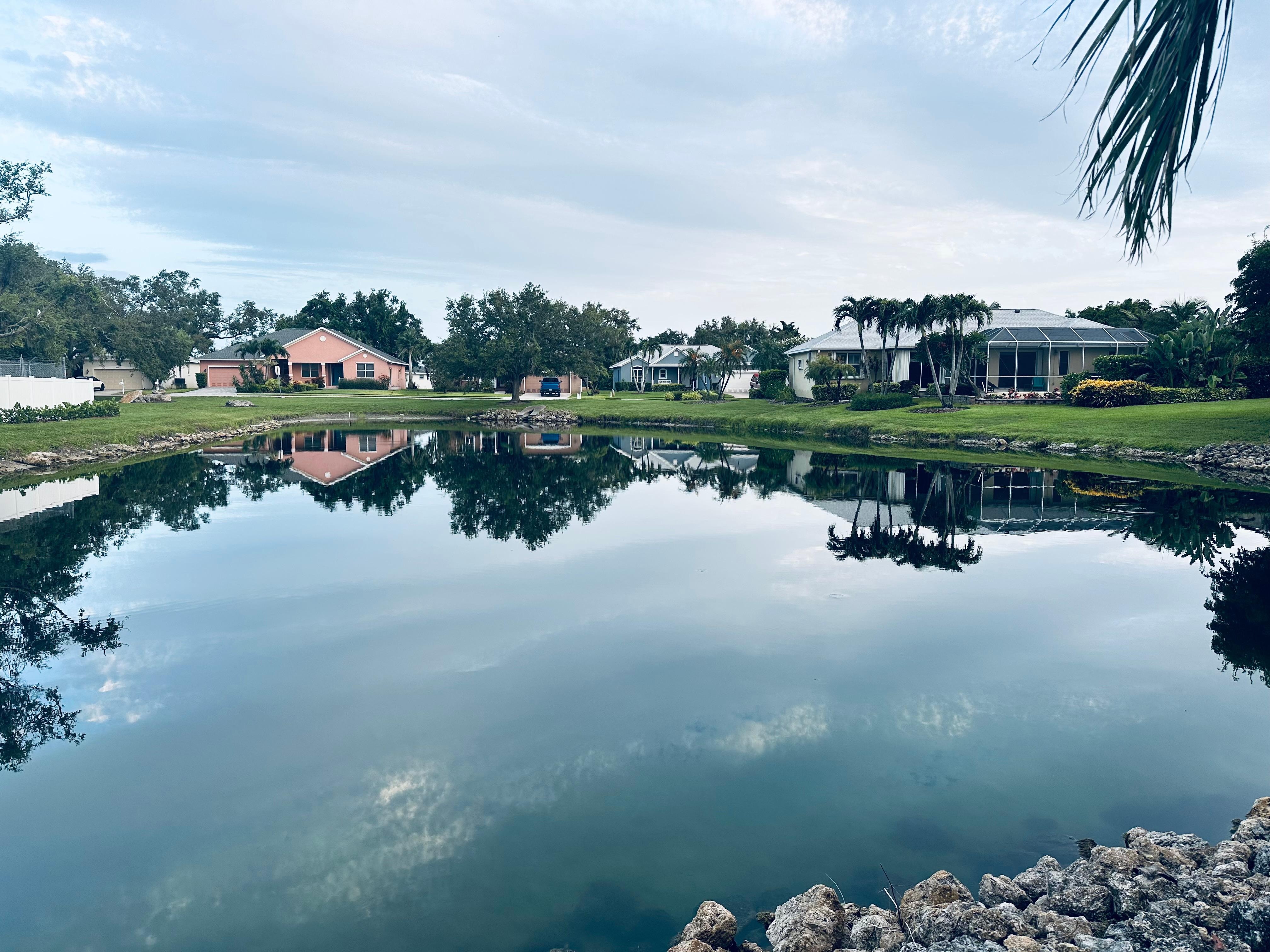 View from pool of the house 