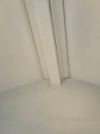 Gaps in the ceiling, most likely how wasps are getting in.