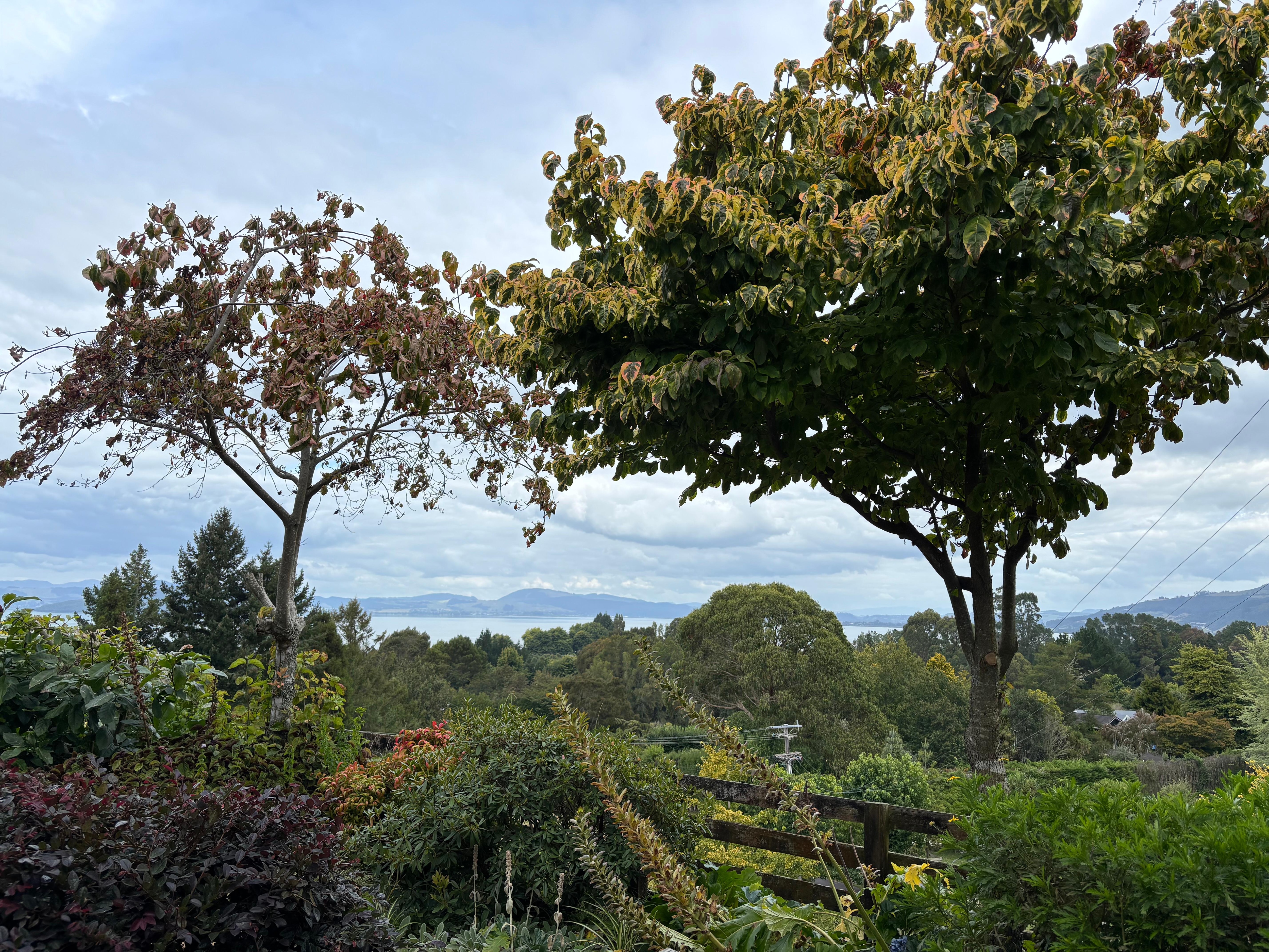 View from the studio. 