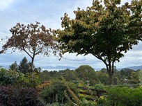 View from the studio.