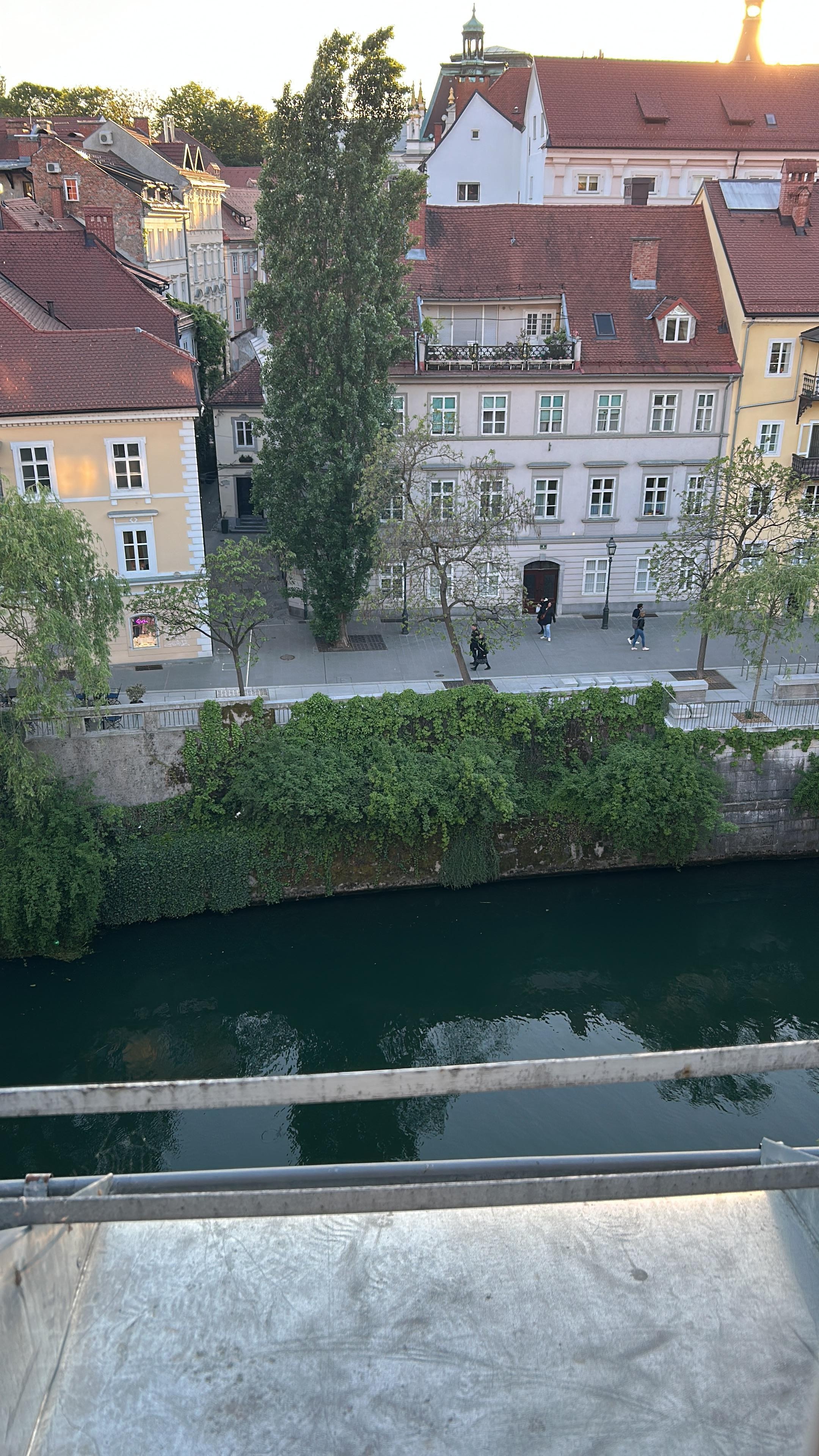  View from bedroom window