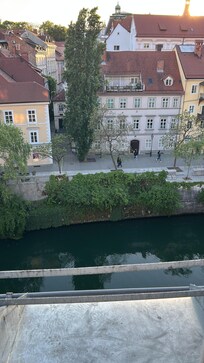 View from bedroom window