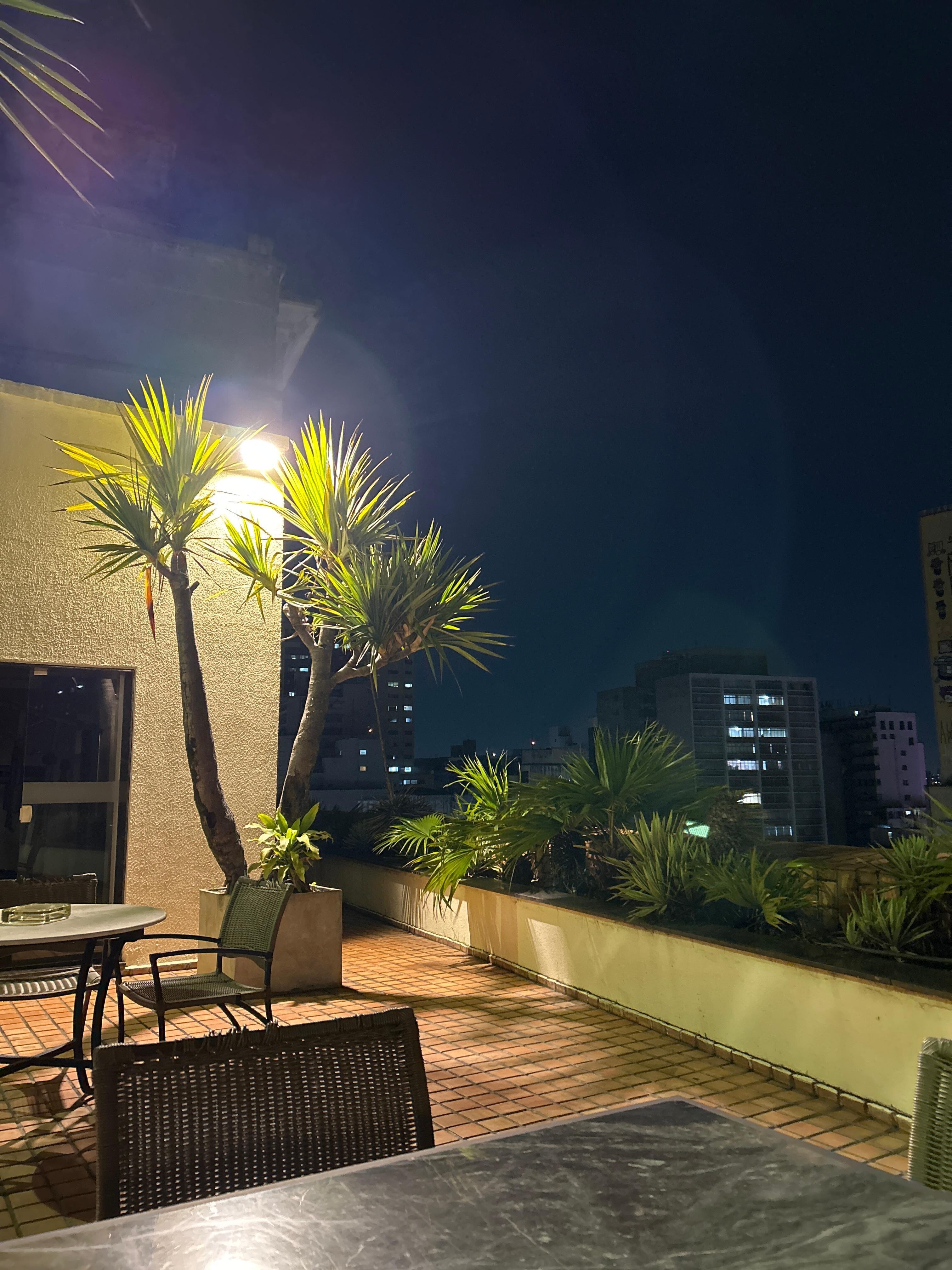 Terrace Roof Top