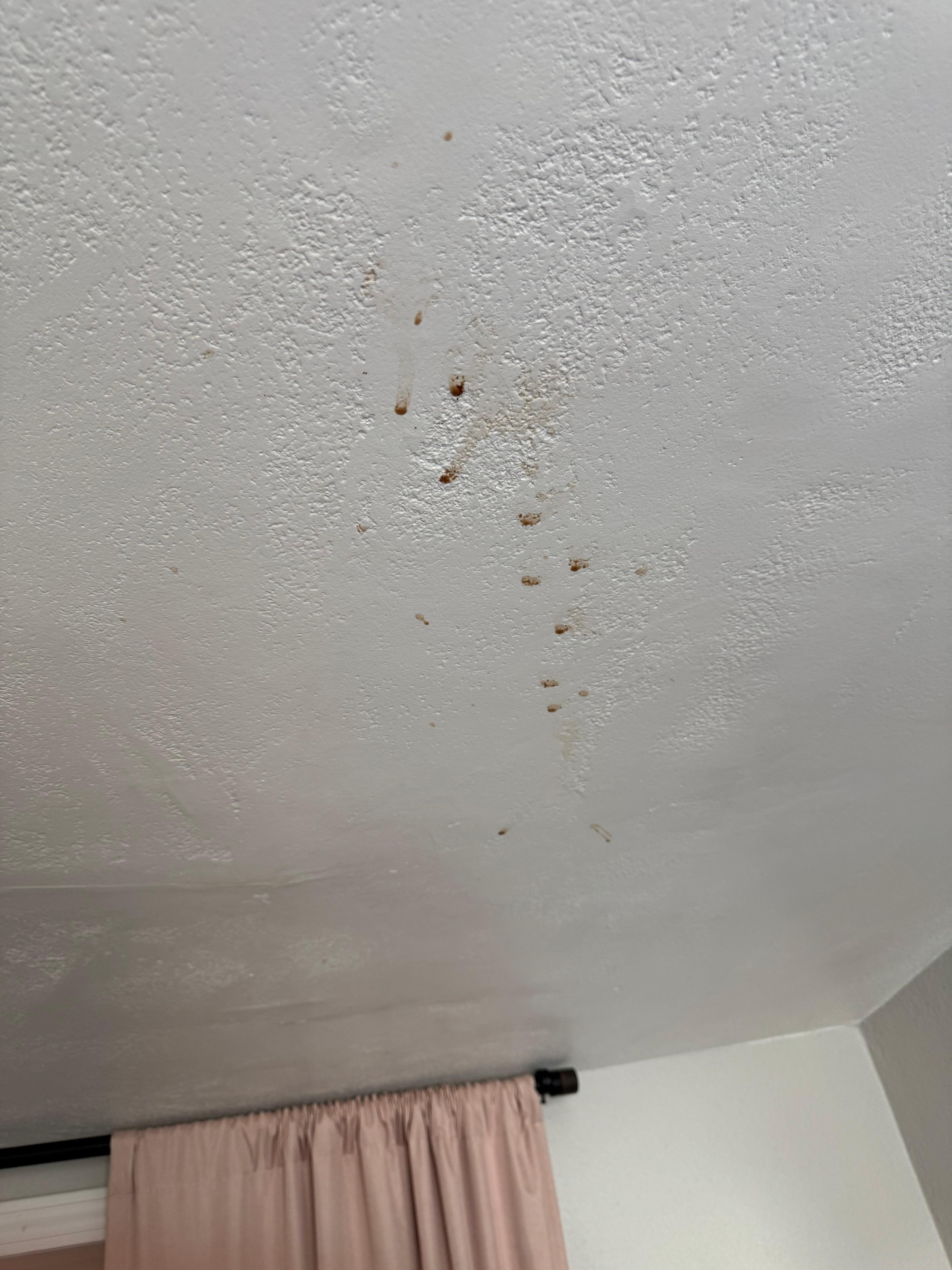 Ceiling