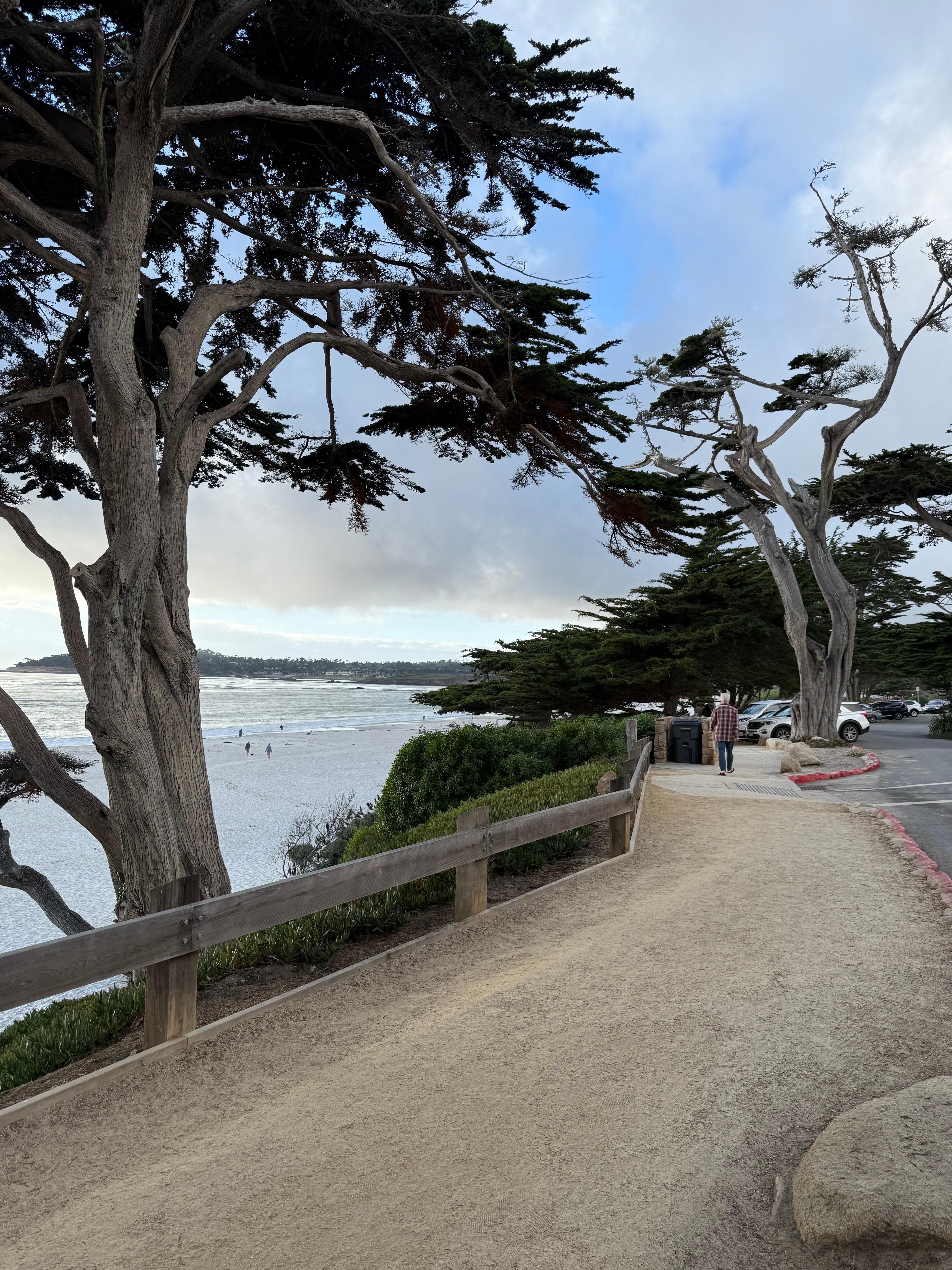 Along Carmel Beach walkway