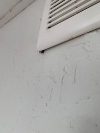 Bug in vent on bottom