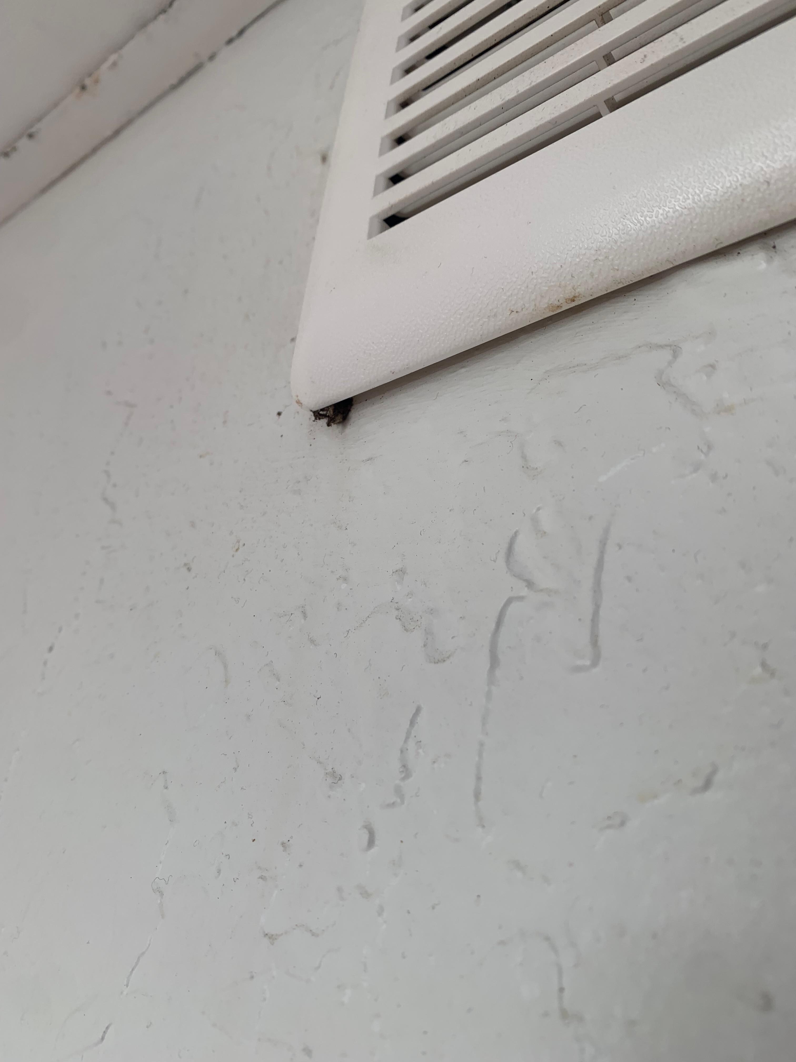 Bug in vent on bottom