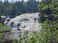 Bond falls