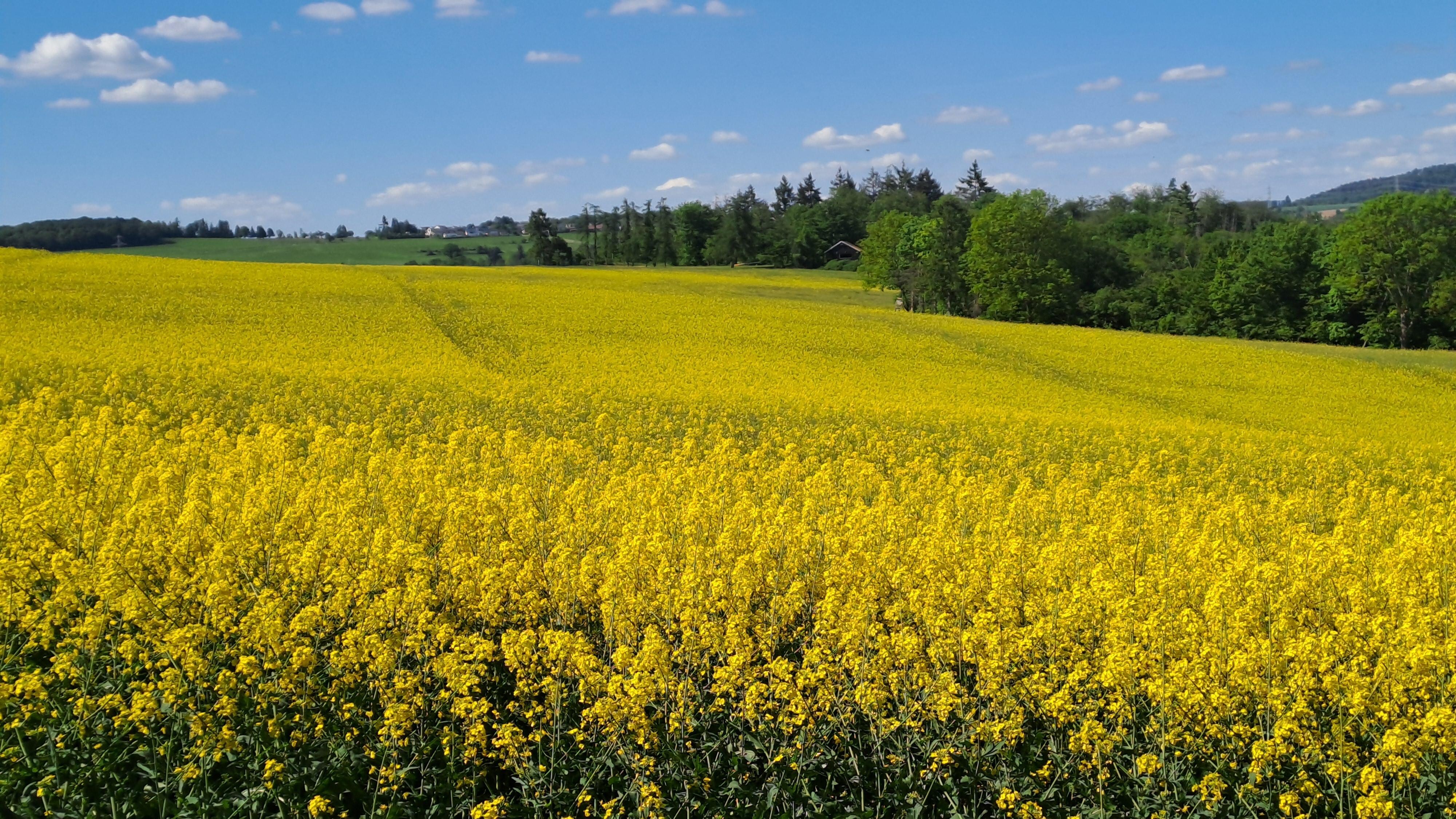 Omgeving appartement