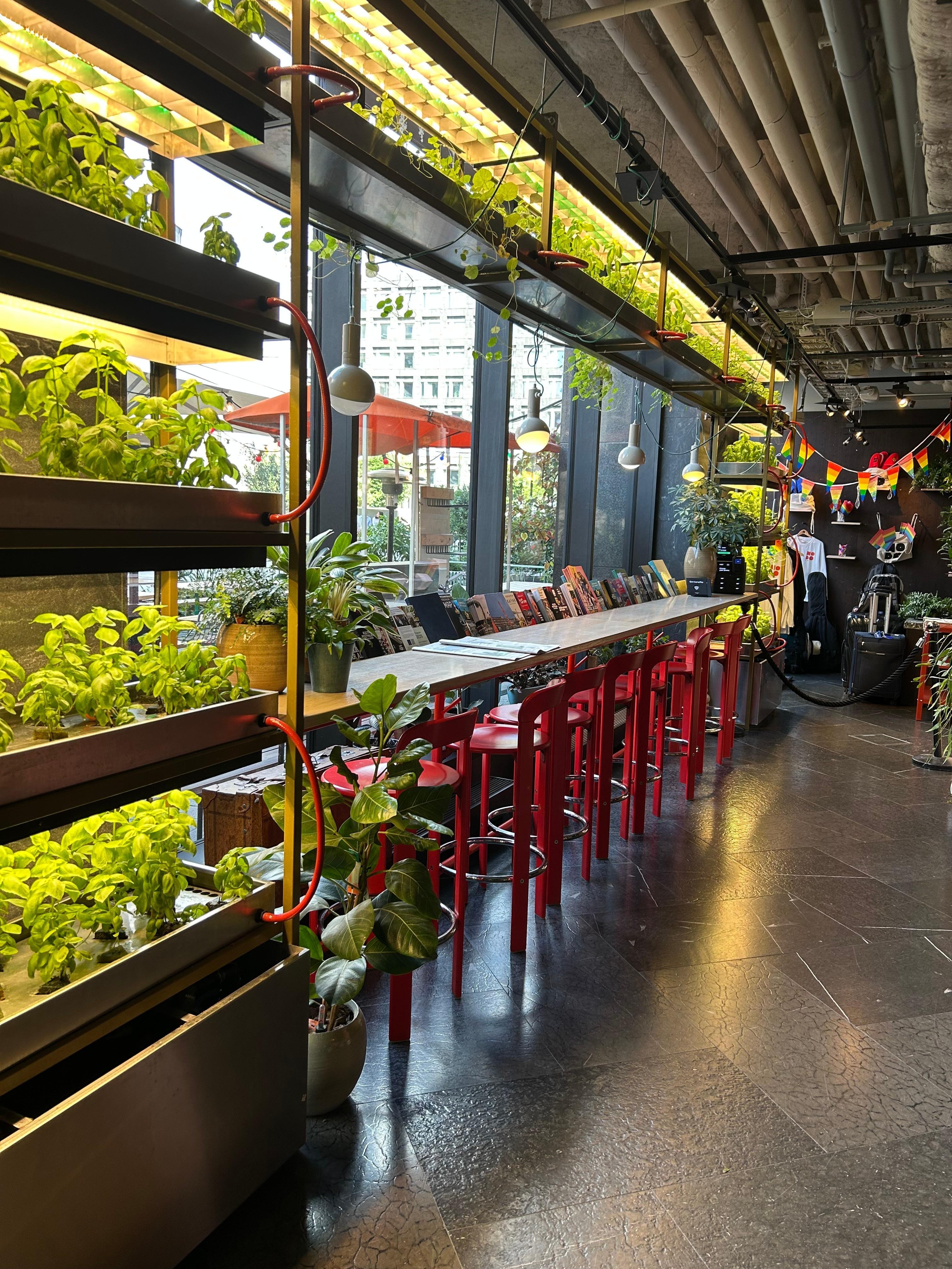 Urter og annet grønt dyrkes ved resepsjonsområdet 