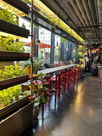 Urter og annet grønt dyrkes ved resepsjonsområdet